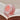 Dinto Popo Lip Mask 5 Types  Decorative cosmetics Dinto