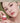 Dinto Popo Lip Mask 5 Types  Decorative cosmetics Dinto