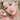Dinto Popo Lip Mask 5 Types  Decorative cosmetics Dinto