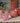 rom&nd Bare Water Tint  Decorative cosmetics rom&nd