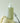 anillo Patchuli Garden Damage Repair Shampoo 300ml  Hair Care anillo