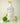 제이멜라 In France Body Wash 1000ml Choose 1 of 5 Types  Body Care 제이멜라