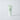 Dasima PDRN Growers Algae Therapy No-Wash Cream Treatment 150ml  Hair Care Growers