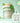 [Exclusive Planning/Exclusive] 60+20 Cellulite Pads  Masks, Pads, Patches Sellimacss