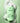 PARKJUN BEAUTY LAB Scalp Clinic Hair Loss Shampoo 500ml  Hair Care PARKJUN BEAUTY LAB