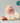 Whipped Vegan Pack Scrub 210g 1 of 4 Options  Skin Cleansing Whipped