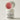 Instead Hydrating Night Lip Mask 25g  Decorative cosmetics 인스테드