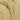 Monait Pumpkin Blended Cream Cleanser 100g  Skin Cleansing Monait