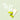 yuike violet remidi perfect vosing sunstick 18g  Sunscreen UrCos