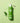 Plantur 39 Phyto-Caffeine Shampoo 500ml for Delicate Hair  Hair Care Plantur