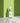 SUNGBOON EDITOR Green Tomato Pore Boosting Deep Shot Ampoule 30ml  Toners, Serums, Essences SUNGBOON EDITOR