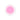 Haming Multi Coloring Powder Blur  Decorative cosmetics 하밍