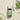 Pranarôm Tea Tree Oil 10ml  For Men Puranol
