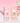 Pia Last Gel Eyeliner Mini Book 6 Colors  Decorative cosmetics Bbia