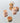 Skinfood Salmon Dark Circle Concealer 3 Colors  Decorative cosmetics SKINFOOD