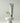 A'pieu Startup Pour Primer  Decorative cosmetics A'pieu