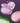 퓌 Glitz Stone Highlighter  Decorative cosmetics 퓌
