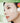 [Hidden Air Hall / Shikagel] Arocell Shika Refair Pantheon Mask 1ea / 4ea / 7ea  Masks, Pads, Patches Aromatica