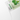 SKINFOOD Shine Muscat Cica Mask 10 sheets  Masks, Pads, Patches SKINFOOD