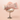 [NEW/500 Whiping] Swept Began Pack Clenzer 130g Planning 4 Kinds (Pitch Fair/Whip Butter/Mug Tree/Women)  Skin Cleansing Whippey