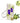 Dallan Di Olive Reparative Body Oil 200ml  Body Care Dallan