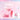 2aN Glaze Bouncing Tint 16 Colors  Decorative cosmetics 2aN