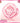 WAKEMAKE Stay Fixer Multi Color Powder  Decorative cosmetics WAKEMAKE