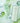 Plant Country Jeju Aloe Cooling Sun Stick 19g  Sunscreen Plant Base