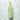 Botanicals Cleansing Oil 200ml/250ml Green Tea Rice  Skin Cleansing Shingmulnara