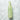 Shingmulnara Young Green Tea Fresh Pore Cleansing Oil 250ml  Skin Cleansing Shingmulnara