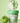 fully Green Tomato Gelato Pack Cleanser 100ml  Skin Cleansing fully
