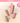 colorgram Geek Nude Color Cover Tint  Decorative cosmetics colorgram