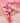 ETUDE Sugar Coloring Jelly Balm  Decorative cosmetics ETUDE