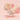 so natural Powder Forum All Day Cover Fixing Cream  Decorative cosmetics so natural