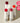 so natural Vegan Salubutter Melting Lip 5 Shades  Decorative cosmetics so natural