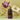 Tan Lavender & Rosemary Bath & Massage Oil 295ml  Body Care TAN