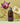 Tan Lavender & Rosemary Bath & Massage Oil 295ml  Body Care TAN