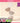 colorgram 3D Creative Easy Shading 4 Colors  Decorative cosmetics colorgram
