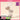 colorgram 3D Creative Easy Shading 4 Colors  Decorative cosmetics colorgram