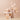 The Tool Lab Stamp Skin Fit Cushion Glow  Decorative cosmetics The Tool Lab