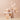 The Tool Lab Stamp Skin Fit Cushion Glow  Decorative cosmetics The Tool Lab
