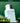 INNISFREE Green Tea Skin for Men 150ml  Toners, Serums, Essences INNISFREE