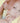 Isbabies Two Slash For Flash Spot Concealer  Decorative cosmetics TwoSlashFour