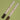 AOU Dense Eyebrow Balm 2 Colors  Decorative cosmetics AOU