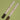 AOU Thick Eyebrow Balm 2 Shades  Decorative cosmetics AOU