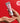 Medifill Red Lacto Collagen Moisture Hand Cream 50ml  Body Care Mediheal