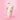 Aimprom Fig Gelato Pack Cleanser 120g  Skin Cleansing I'm from