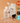 SKINFOOD Carrot Carotene Moist Effector Refill 55ml + 52ml  Toners, Serums, Essences SKINFOOD