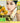 Barel Yuzu Milk Cleansing Gel 200ml  Skin Cleansing BARULSKIN