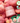 [Welcome Food/Hanjung Planning] Skin Food Pitch Porvo Song Jing Cappe Pad 70 sheets+30 sheets Refill Planning (+Stresball Keying)  Masks, Pads, Patches SKINFOOD
